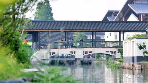 住在風景里，何必還要去找風景——宜興網站建設讓美麗鄉村觸手可及